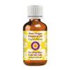 dve herbes Ginger Essential Oil (Zingiber officinale) Pure | Non-Sticky | Non-Greasy | Lightweight | Men & Women | All Skin Types | Steam Distilled 15ml (0.5 oz) view 1