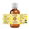 dve herbes Ginger Essential Oil (Zingiber officinale) Pure | Non-Sticky | Non-Greasy | Lightweight | Men & Women | All Skin Types | Steam Distilled 5ml (0.16 oz) view 2