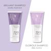 White Hot Boost & Shoosh Duo:Brilliant Shampoo & Shooshing Crme to brighten grey & white hair view 4