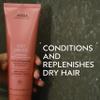 Aveda Nutriplenish Conditioner Light Moisture | Superfood Conditioner for Dry Hair | Organic Pomegranate Oil, Coconut Oil, Mango Butter | 96% Naturally Derived*, 1.7 Fl Oz view 2