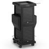Hair Cart Organizer with Wheels 6 Drawers, Locking Salon Rolling Cart Utility Caddy for Hair Stylist Barber, Mobile Tattoo Hairdresser Storage Station Hairstylist Trolley Hot Tools Holder view 1