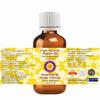 Deve Herbes Apricot Kernel Oil (Prunus armeniaca) | Cold Pressed | Pure | Natural | Undiluted | For Diluting Essential oils | For Skin & Massage | Non-Sticky | Lightweight | Unisex | 50ml (1.69 oz) view 2