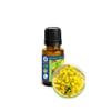 15ml (1/2oz) Asafoetida Essential Oil (Ferula Assa-Foetida) view 1
