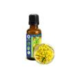 30ml (1oz) Asafoetida Essential Oil (Ferula Assa-Foetida) view 1
