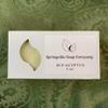 Eucalyptus Soap view 1