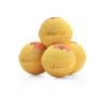 Cozy Pumpkins Luxury Bath Bombs -Set of 10 - Extra Large - 4.5oz view 2