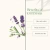 Good Vibes Lavender Foot Therapy Cream - 50 g - Moisturization, Nourishing and Softening for Dry and Flaky Skin view 4