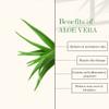 Good Vibes Plus Aloe Vera and Lemon Softening and Radiance Gel - 50 g - Removes Blackheads and Helps Illuminating Skin view 3