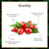 Good Vibes Rosehip Face Serum | Radiant Glow Formula for Clear, Smooth Skin | Hydrating Anti-Aging Facial Serum with Vitamin A & C | No Parabens, No Sulphates | All Skin Types | 1.01 Fl Oz (30ml) view 3