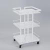 Salon Cart on Wheels With Three Tray, Esthetician Storage Trolley for Massage Facials Tattoo, Rolling Beauty Spa Cosmetology Manicure Equipment view 1