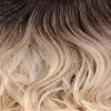 New Born Free HD 360 LACE FRONT WIG - BODY WAVE HD360D (DYX/VANILLA) view 2