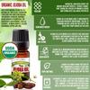 BodyJ4You 100% USDA Organic Jojoba Oil Piercing Aftercare - Stretched Ear Gauges Tragus Nose Septum Lip Navel - Natural Recovery Skin Moisturizer - Pure Unrefined Wax - 0.17 Fl Oz view 2