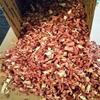 Woodchucks Wood 8 Pounds Cedar Shavings, Traditional, Wood, Men, Pet Owners, Small Animal Enthusiasts, Men view 2
