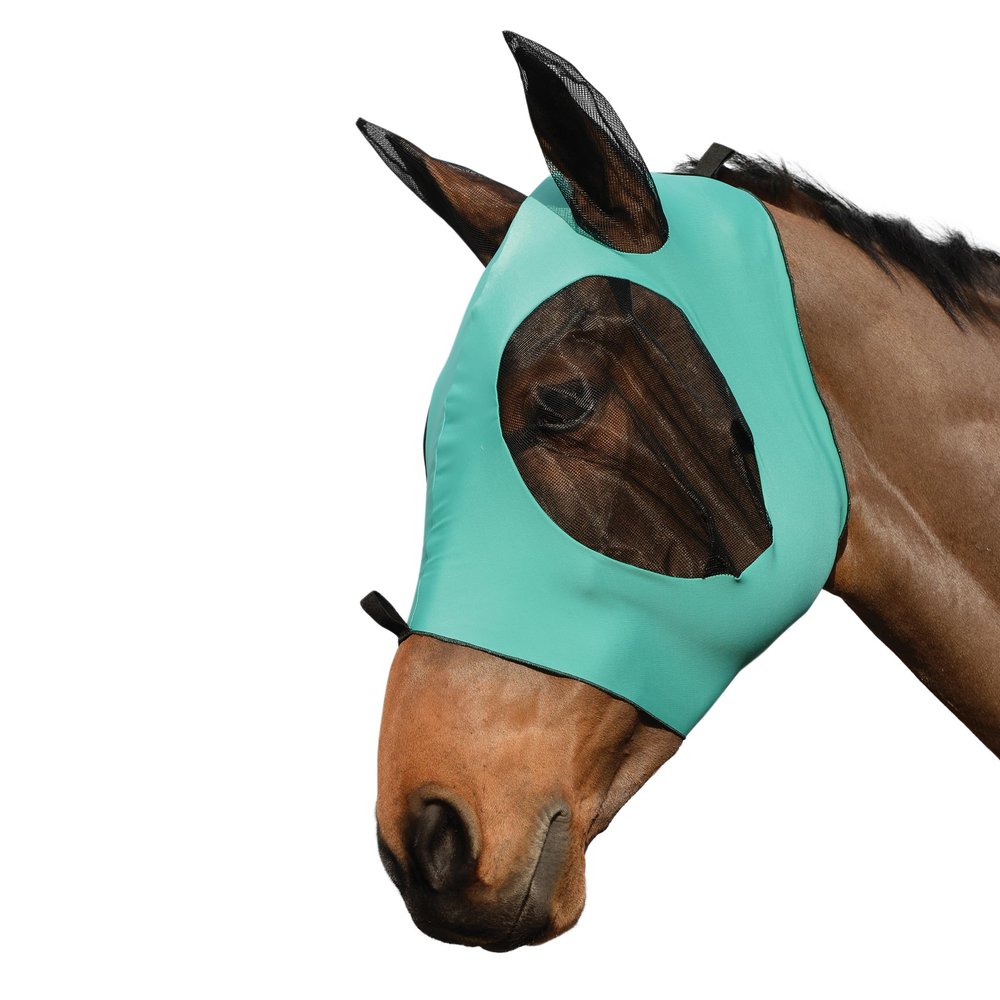 WeatherBeeta Stretch Bug Eye Saver with Ears, Turquoise/Black, Pony