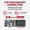 KUNDAL Korean Caffeine Scalp Shampoo [Cherry Blossom]  Sulfate-Free Hair Care with Menthol & Botanical Extracts  For Fuller-Looking Hair, Scalp Refresh & Strength  16.9 Fl Oz, Stocking Stuffers view 2