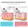 Portable Galvanic Microcurrent Skin Firming Machine, Anti-Aging Face Lift Massager Home Use Beauty Salon Device view 3