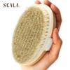Dry Brushing Body Brush SCALA Natural Bristle Body Brush, Soft Body Exfoliating Brush Scrub for Dead Skin, Cellulite, Lymphatic Drainage, Blood Flow  Thicker & Stronger Medium Strength view 4