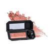 Aaiffey Dual-Color Waterproof Eyeshadow with Exquisite Glitters and Smooth Texture, Long Lasting for Eye Makeup view 1