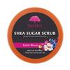 Tree Hut Exotic Bloom Shea Sugar Scrub | Exfoliating Body Scrub Removes Dead, Dry Skin for a Soft & Hydrated Feel | Nourishing Essential Body Care | 18 fl oz. view 3