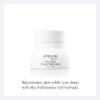 Ecco Bella Plant Based Restore Night Cream - Anti Aging Face Cream with Vitamin C, Vitamin E & Chamomile Oil for Firmer, Younger Skin - Night Moisturizer for Face, Unscented - 1.7 oz view 2