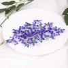 Aimimier Bridal Sapphire Hair Comb Royal Blue Crystal Hair Piece Wedding Hair Accessories for Women and Girls (Blue) view 1