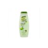 Olive Oil Smoothing Shampoo by Palmers for Unisex - 13.5 oz Shampoo - (Pack of 2) view 1