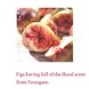 I'm from Fig Scrub Mask 120g, exfoliating, moisturizing mask, korean exfoliator, organic skin care view 3