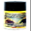 12 PIECES AGAINST ENVY/CONTRA ENVIDIA PHEROMONE OIL ROLL-ON BOTTLE 1/3 OZ 10ML view 1