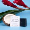 Earth Harbor | COCONUT CHARCOAL Purifying Facial Soap | 100% Botanical + Zero-Waste + No Synthetics | Activated Charcoal & Spirulina view 4