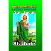 6 PIECES BRYBRADAN SAINT JUDE- SAN JUDAS POLVO EN BOLSA 1/2 OZ 14 GR view 1