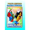 1 PIECE BRYBRADAN DIVINA PROVIDENCIA POWDER/POLVO EN BOLSA 1/2 OZ 14 GR view 1