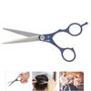 Alucy Professional Hair Cutting Scissors, Flat Tooth Shears, Blue, Stainless Steel, Compact, Hairdressing Tool, Barber Scissors view 1