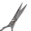 5.5" Professional Hair Cutting Barber Scissors, Stainless Steel, Lightweight Razor Edge Haircut Scissors for Hair Salon, Hairdresser view 2
