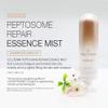 CELLTERMI PEPTOSOME REPAIR ESSENCE MIST view 4