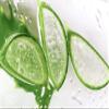 Dermasil Aloe Fresh Moisturizing Body Lotion view 2