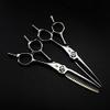 JIESENYU high-end Professional Hairdresser 6-inch Hairdressing Scissors 440C Steel Hair Salon Silver (Set) view 2