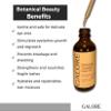 Eyelash Growth Serum Castor Oil - Eyebrows Enhancer & Lash Boost to grow lashes - Almond Oil, Coconut Oil, Vitamin E Oil - Natural Eyelash Serum for Long Eyelashes & Thick Eyebrows - GALORE Naturals view 2