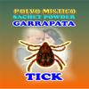 6 PIECES BRYBRADAN GARRAPATA POWDER/POLVO EN BOLSA 1/2 OZ 14 GR view 1