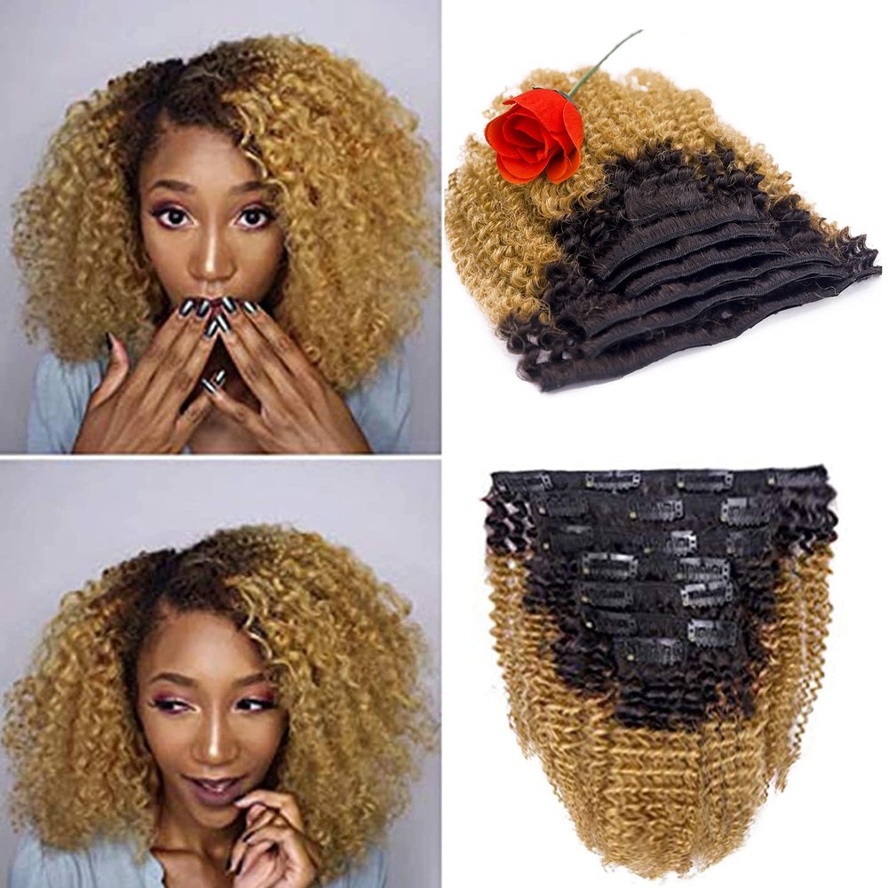 Afro Kinky Clip Ins Human Curly Hair Clip In Extensions 3C 4A 4B Natural Afro Kinkys Curly Hair Extensions Clip In For Black Women Two Tone Blound Ombre Full Head Afro Curly Clip Ins #1b/27 18 Inch