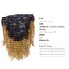 Afro Kinky Clip Ins Human Curly Hair Clip In Extensions 3C 4A 4B Natural Afro Kinkys Curly Hair Extensions Clip In For Black Women Two Tone Blound Ombre Full Head Afro Curly Clip Ins #1b/27 18 Inch view 2