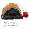 Afro Kinky Clip Ins Human Curly Hair Clip In Extensions 3C 4A 4B Natural Afro Kinkys Curly Hair Extensions Clip In For Black Women Two Tone Blound Ombre Full Head Afro Curly Clip Ins #1b/27 18 Inch view 3