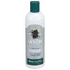 Jason Clarifying Charcoal 2-in-1 Shampoo-Conditioner, 12 oz view 1