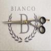Bianco Instruments 7.5 in. Professional Hairdressing Shear Made in the USA view 2