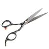 Inzopo Stainless Steel Hair Cutting and Thinning Scissor Hairdressing Scissor 6.5 " view 1