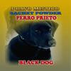 3 PIECES BRYBRADAN BLACK DOG SACHET POWDER/PERRO PRIETO POLVO EN BOLSA 1/2 OZ 14 GR view 1