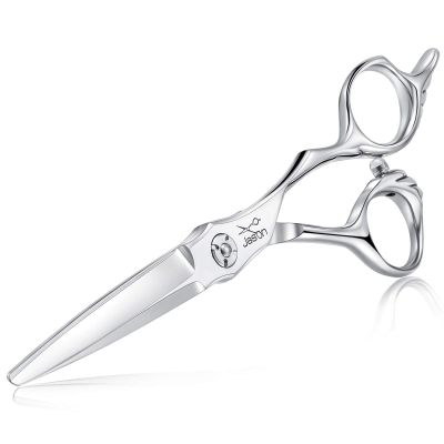 JASON 6" Hair Cutting Scissors with Ultimate Sharp Sword Blade, Professional Haircut Scissor Hair Trimming Shear for Barber, Hairdresser, Stylist, Women and Men, Japanese 440C Stainless Steel Gift
