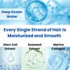 8 THE THALASSO Pre-Shampoo for Women & Men, Deep Cleansing Shampoo by Collagen, Ceramides, Stem Cells & Peppermint for Dry & Itchy Scalp, Scalp Cleanser from Japan 6.76 Fl Oz view 4