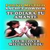 3 PIECES BRYBRADAN YOUR LOVER WILL HATE YOU SACHET POWDER/TE ODIARA TU AMANTE POLVO EN BOLSA 1/2 OZ 14 GR view 1