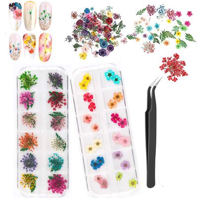 SYBF Nail Dried Flowers,2 Boxes 3D Dry Flowers Nail Stickers Nail Art Supplies Mini Real Natural Flowers Applique Nail Decoration Sticker for Tips Manicure Decor ( Starry , Leaves and Five Flower)