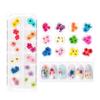SYBF Nail Dried Flowers,2 Boxes 3D Dry Flowers Nail Stickers Nail Art Supplies Mini Real Natural Flowers Applique Nail Decoration Sticker for Tips Manicure Decor ( Starry , Leaves and Five Flower) view 2